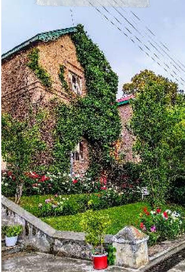 The ivy-clad building above the terraced garden. — Lawrence College Ghora Gali