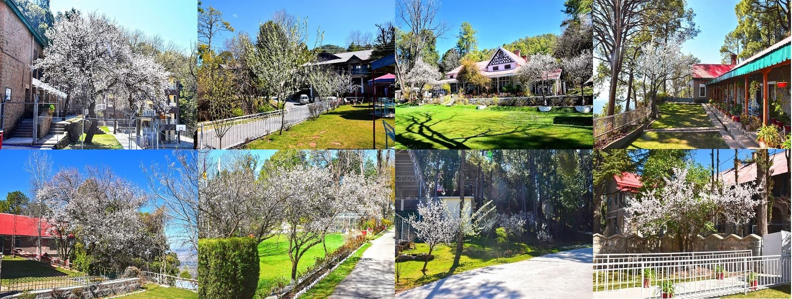 Lawrence College campus, Ghora Gali