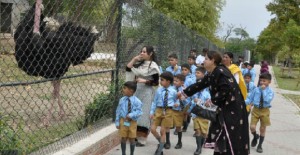 Junior School Boys Leisure Time